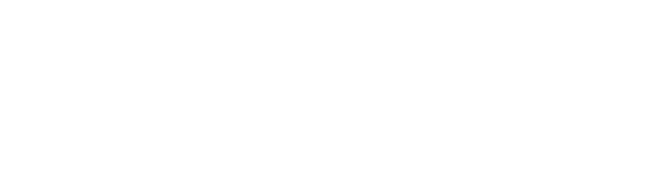 Walter Braun Umzüge