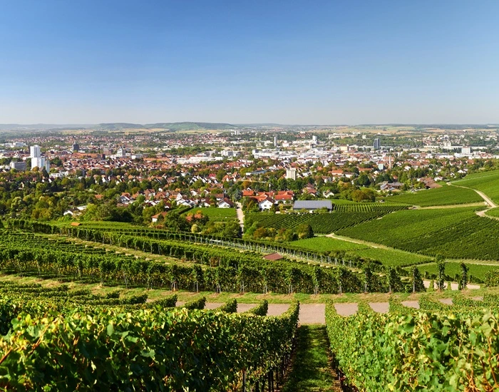 Kompetentes Umzugsunternehmen Heilbronn mit Know-how und Expertise