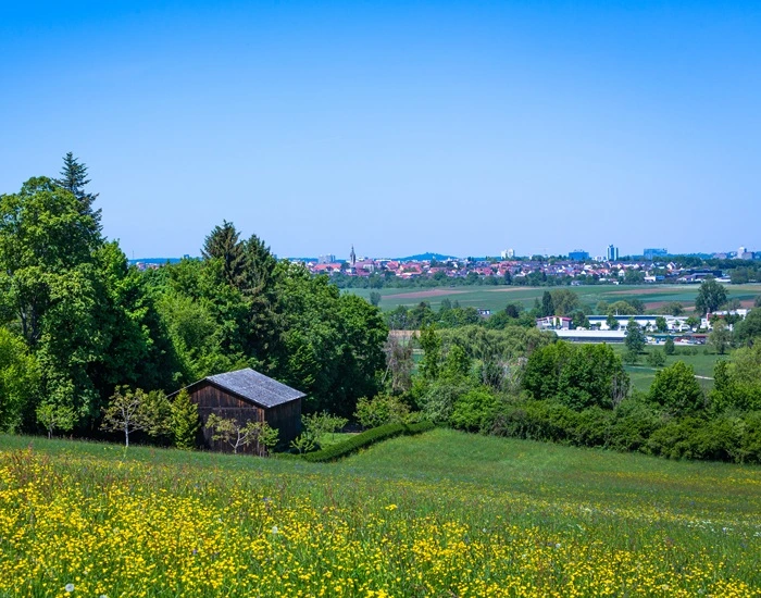 Erstklassiges Umzugsunternehmen Leinfelden-Echterdingen mit umfassendem Know-how